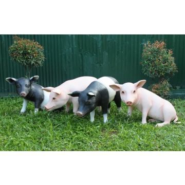 Schweine stehend und sitzend lebensgroß