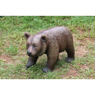 BabyBraunbär lebensgroß