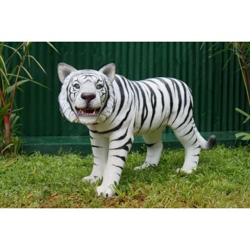 Weißer Tiger lebensgroß