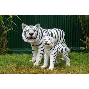 Weißer Tiger mit Baby lebensgroß