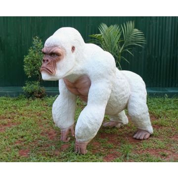 Weißer Gorilla lebensgroß