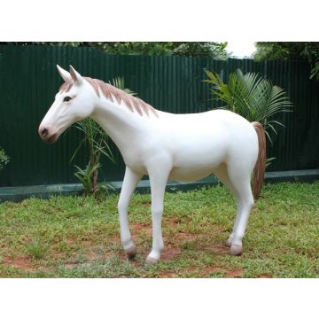 Weißes Pony lebensgroß