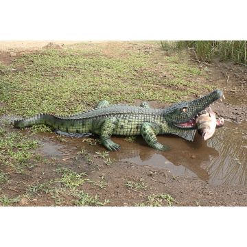 Kleines Krokodil lebensgroß