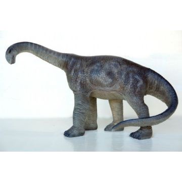 Camarasaurus mittel verkleinert