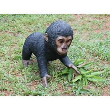 Schwarzer BabyGorilla lebensgroß