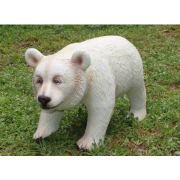 BabyPolarbär lebensgroß
