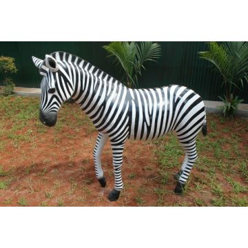 Zebra lebensgroß