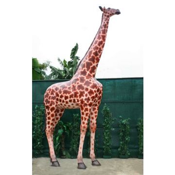 Giraffe lebensgroß
