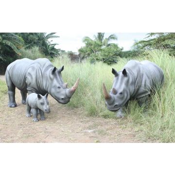 Nashorn Familie lebensgroß
