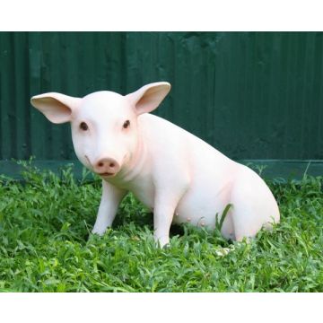 Rosa Schwein sitzend lebensgroß