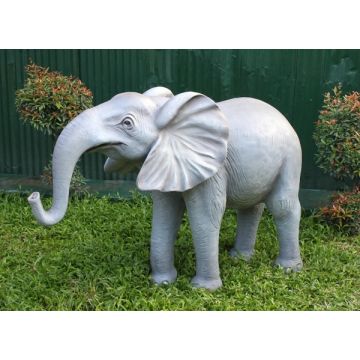 Elefant Rüssel unten lebensgroß