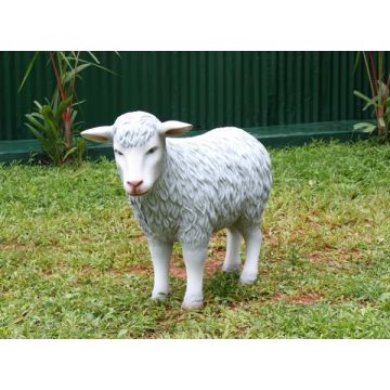 Graues Schaf lebensgroß