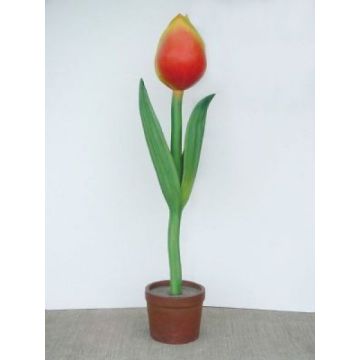 Tulpe mit rot-gelber Blüte übergroß XXL