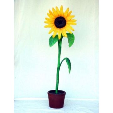 Sonnenblume übergroß XXL