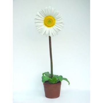 Gänseblümchen groß übergroß XXL