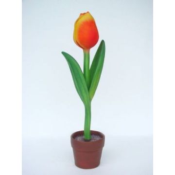 Tulpe mit rot-gelber Blüte klein vergrößert