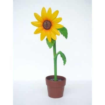 Sonnenblume klein vergrößert