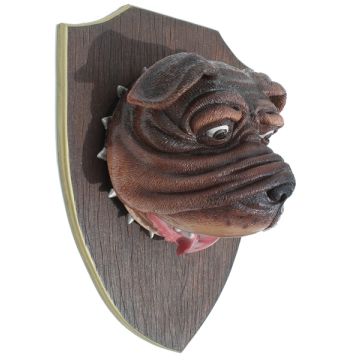 Bulldogkopf auf Holz lebensgroß