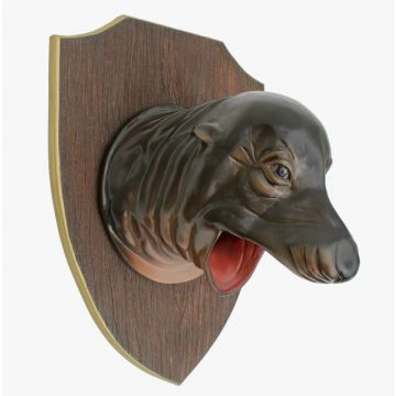 Seelöwenkopf auf Holz lebensgroß