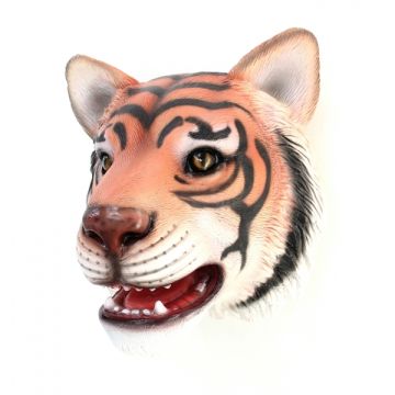 Tigerkopf lebensgroß