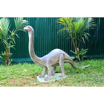 Dinosaurier Brachiosaurus klein lebensgroß