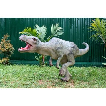 Dinosaurier Tyrannosaurus klein lebensgroß