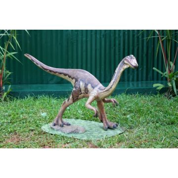 Dinosaurier Velociraptor klein lebensgroß