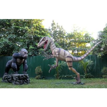 Dinosaurier Velociraptor kämpft mit Gorilla lebensgroß