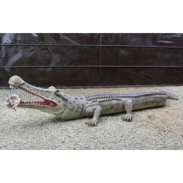 Dinosaurier Sarcosuchus lebensgroß