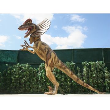 Dinosaurier Dilophosaurus lebensgroß