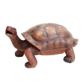 Eisfach in der Schildkröte lebensgroß