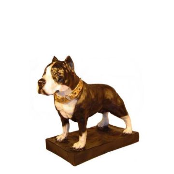 Pitbullterrier Kampfhund lebensgroß