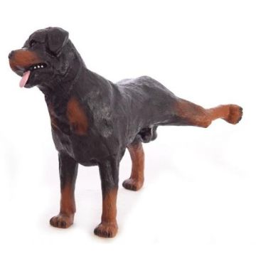 Rottweiler Kampfhund lebensgroß