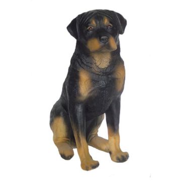Rottweiler Kampfhund lebensgroß