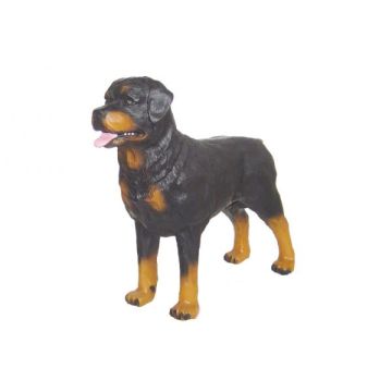 Rottweiler Kampfhund lebensgroß