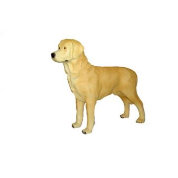 Labrador stehend lebensgroß