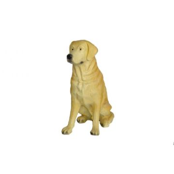 Labrador sitzend lebensgroß