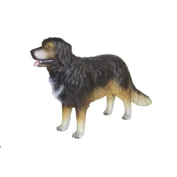 Berner Sennenhund lebensgroß