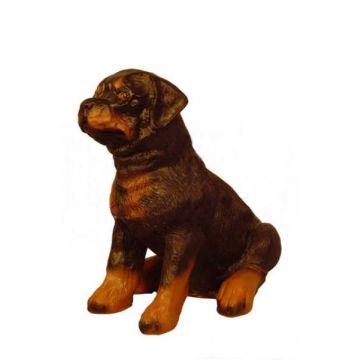Sitzender Rottweiler lebensgroß