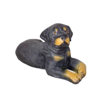 Rottweiler liegend Kampfhund lebensgroß