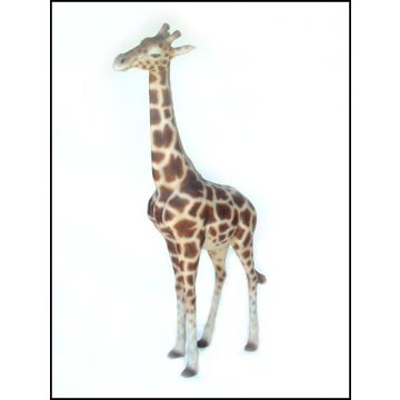 Giraffe klein lebensgroß