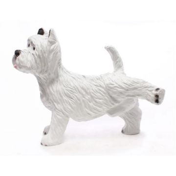 West Highland White Terrier lebensgroß