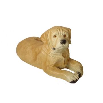 Labrador lebensgroß