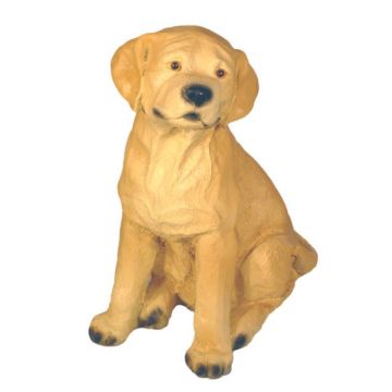 Labrador sitzend lebensgroß