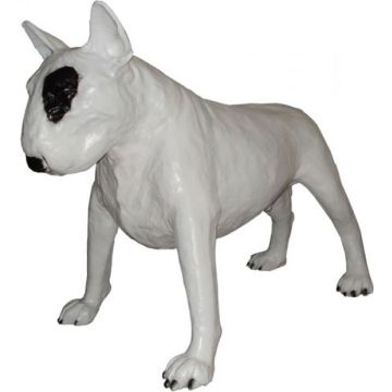 Bullterrier Kampfhund lebensgroß
