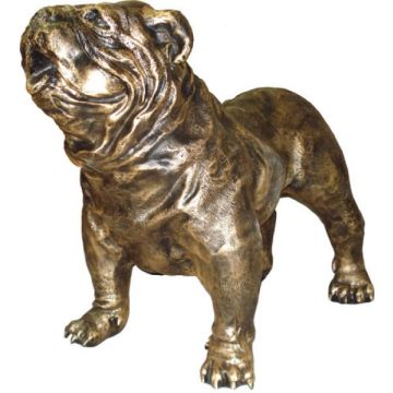 Golden Bulldog lebensgroß