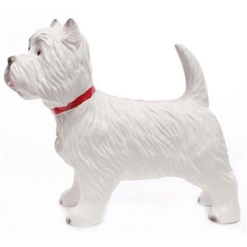 West Highland Terrier lebensgroß
