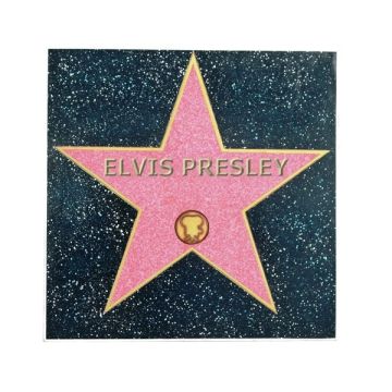 Hall of Fame Fliese Elvis lebensgroß