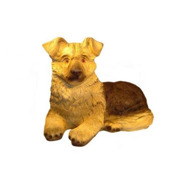 kleiner Schäferhund lebensgroß