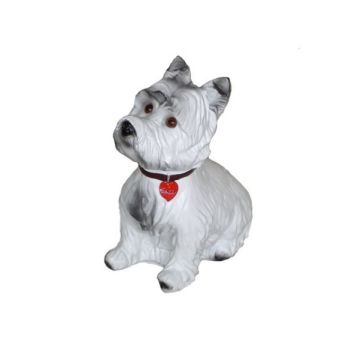 West Highland Terrier mit Halsband lebensgroß